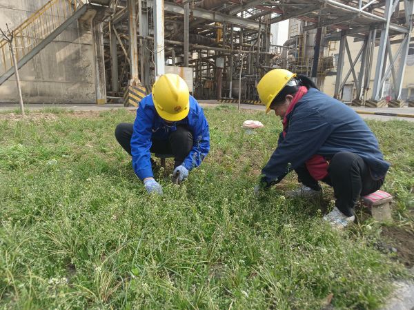 3月22日，行政保衛(wèi)部馬師傅和孫師傅在道路兩旁清除雜草。.jpg