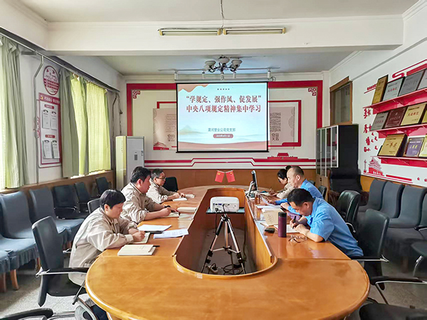 4月11日，渭河塑業(yè)公司全體黨員集中學(xué)習(xí)中央八項(xiàng)規(guī)定精神.jpg